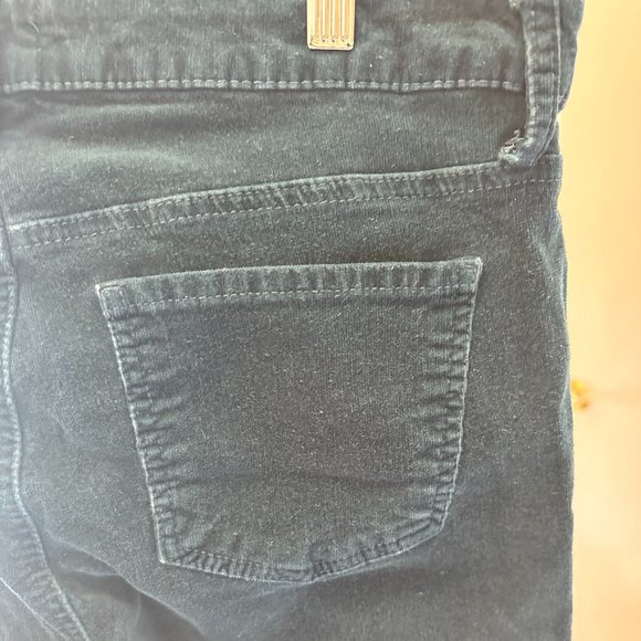 Edyson Corduroy Teal Skinny Pants - Picture 5 of 5